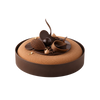 Chocolate Noir